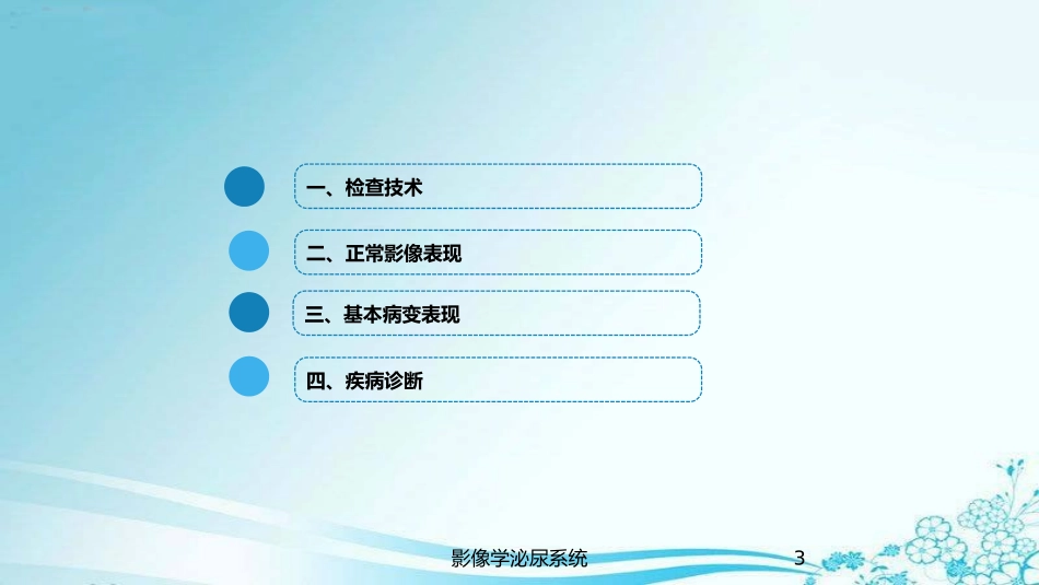 影像学泌尿系统培训课件.pptx_第3页