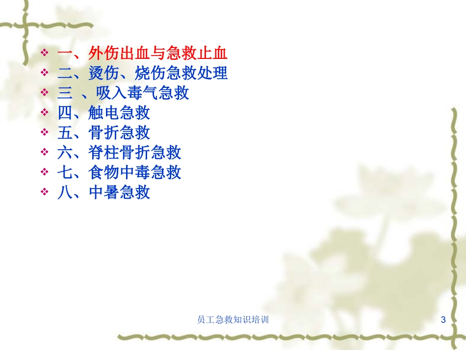 员工急救知识培训培训课件.pptx_第3页