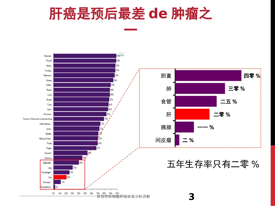 原发性肝细胞肝癌病案分析讲解培训课件.pptx_第3页