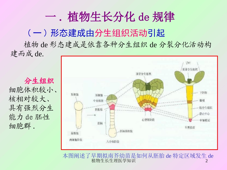植物生长生理医学知识培训课件.pptx_第2页