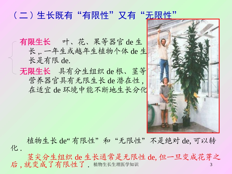 植物生长生理医学知识培训课件.pptx_第3页