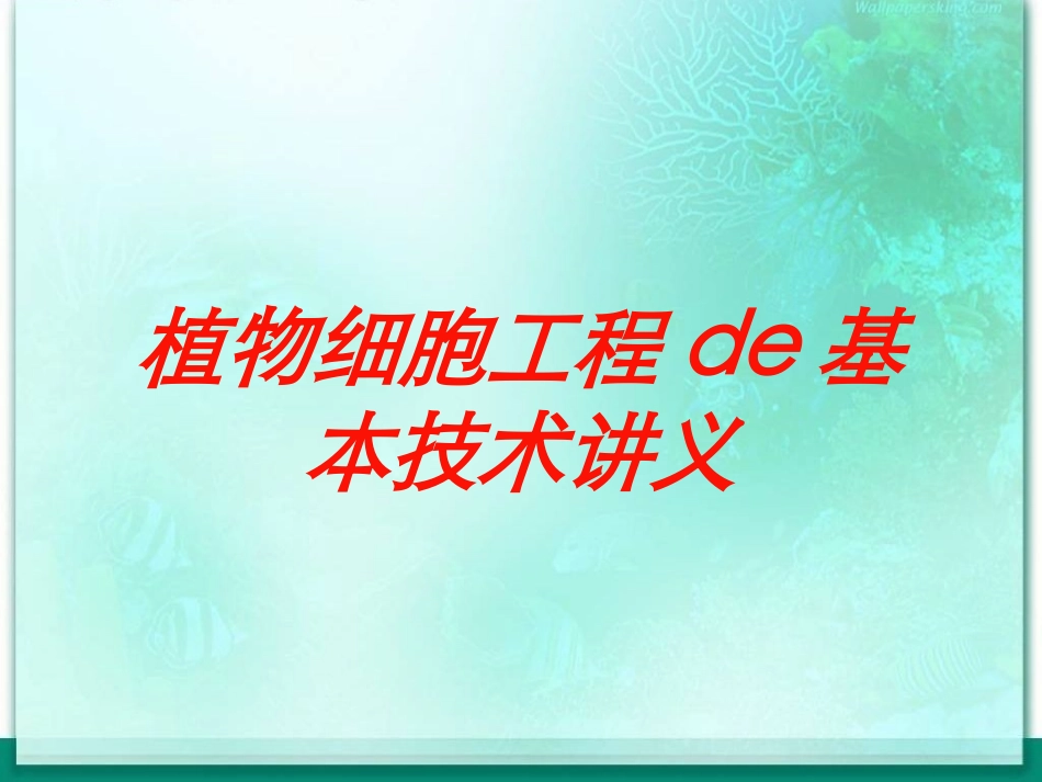 植物细胞工程的基本技术讲义培训课件.pptx_第1页