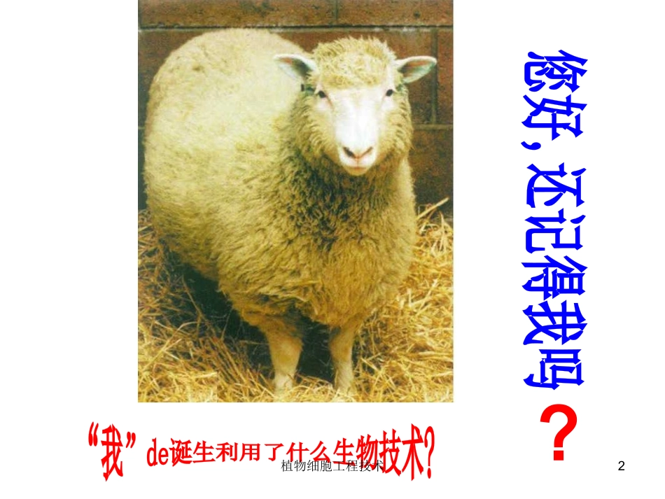 植物细胞工程技术培训课件.pptx_第2页