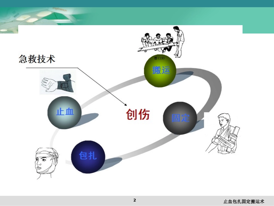 止血包扎固定搬运术培训课件.pptx_第2页