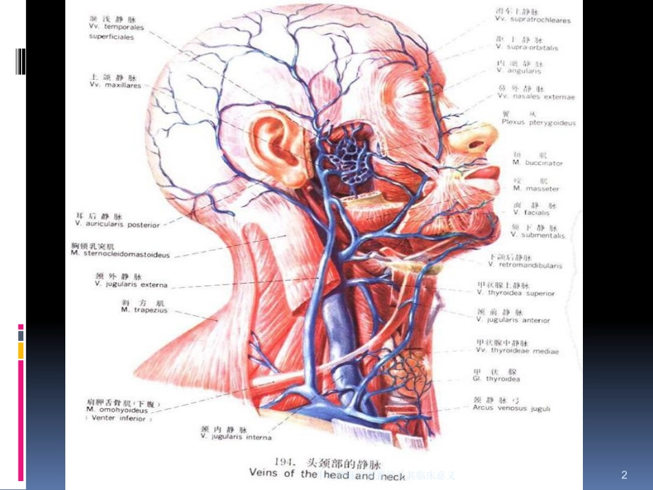 中心静脉穿刺置管及其临床意义培训课件.pptx_第2页