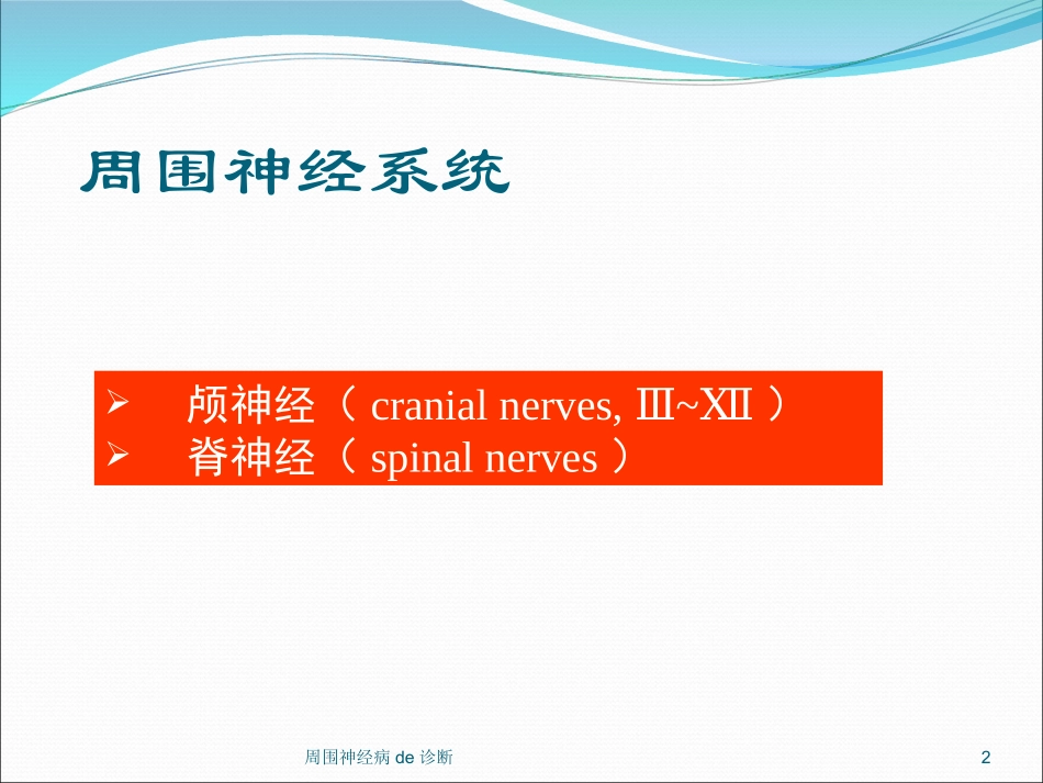 周围神经病的诊断培训课件.pptx_第2页