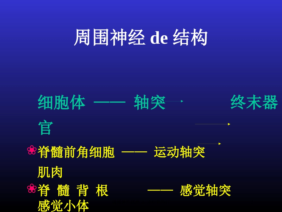 周围神经损伤的诊疗和治疗培训课件.pptx_第2页