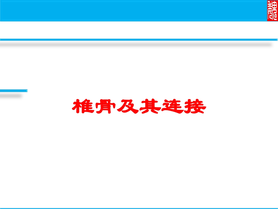 椎骨及其连接培训课件.pptx_第1页
