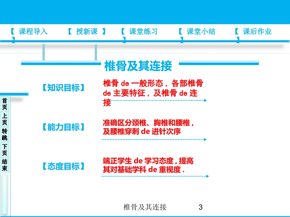 椎骨及其连接培训课件.pptx_第3页