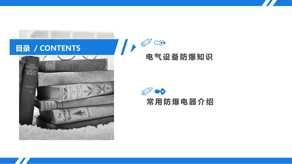 防爆电气基础安全知识.pptx_第2页