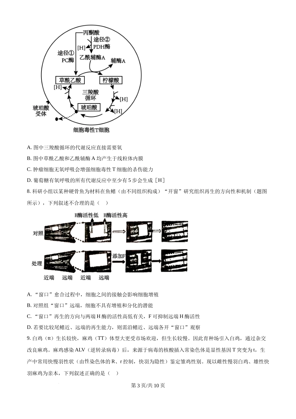 2024年高考生物试卷（重庆）（空白卷）(1).docx_第3页
