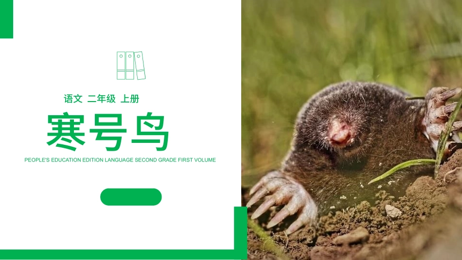 部编版二年级上册语文《寒号鸟》课件4.pptx_第1页