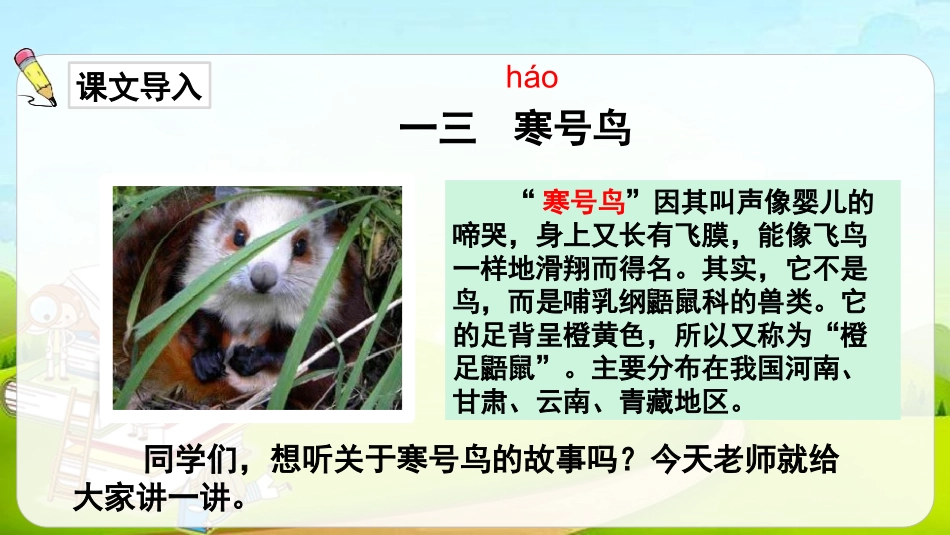 部编版二年级上册语文《寒号鸟》课件6.pptx_第2页