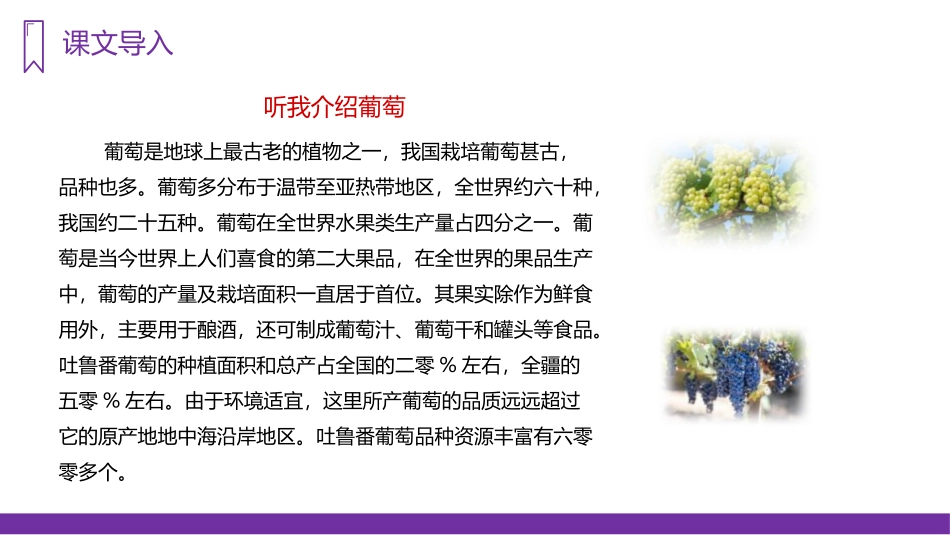 部编版二年级上册语文《葡萄沟》课件3.pptx_第3页