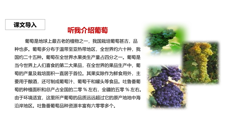 部编版二年级上册语文《葡萄沟》课件6.pptx_第3页