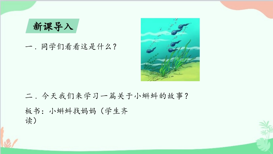 部编版二年级上册语文《小蝌蚪找妈妈》课件2.pptx_第2页