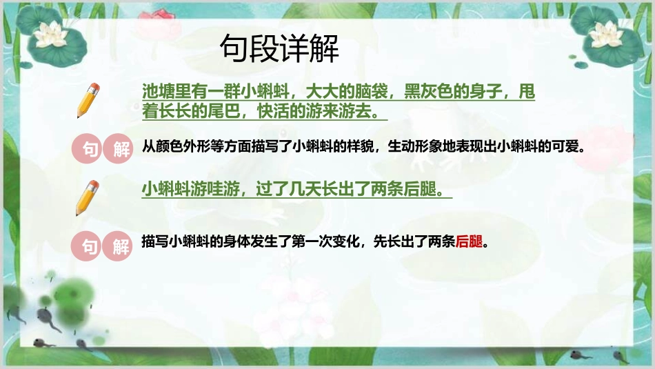 部编版二年级上册语文《小蝌蚪找妈妈》课件3.pptx_第3页