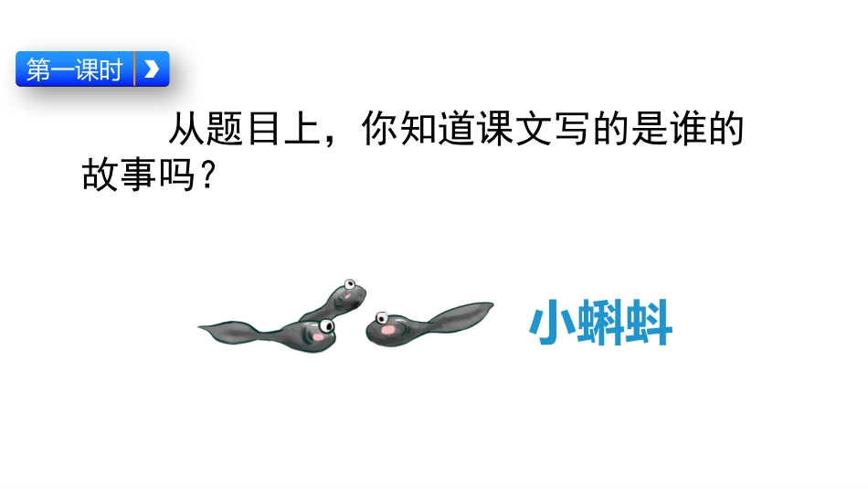 部编版二年级上册语文《小蝌蚪找妈妈》课件7.pptx_第3页