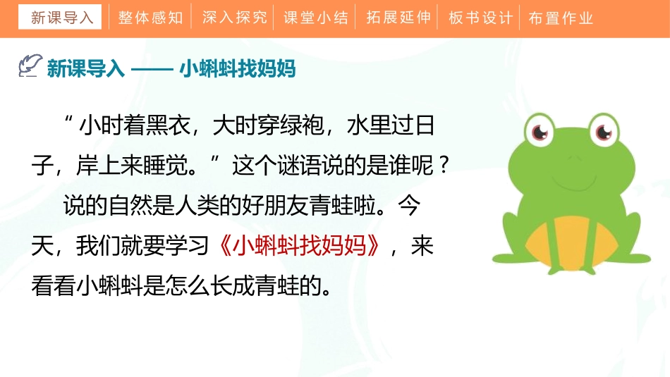 部编版二年级上册语文《小蝌蚪找妈妈》课件8.pptx_第3页