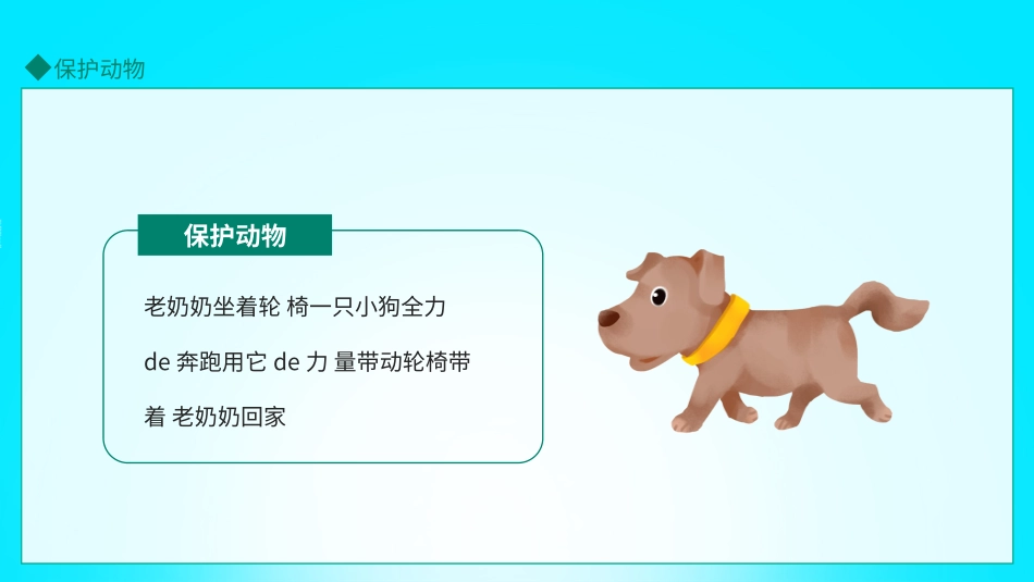保护野生动物20.pptx_第2页