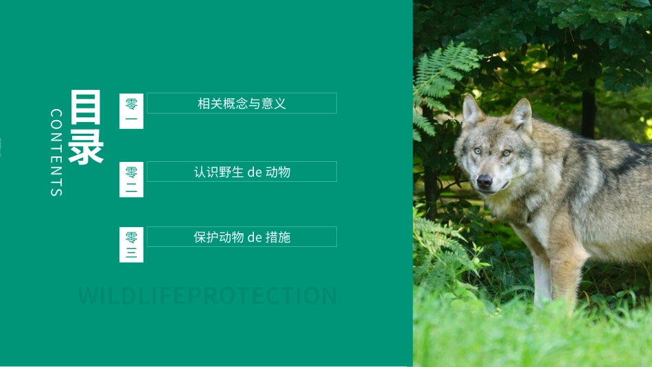 保护野生动物21.pptx_第2页