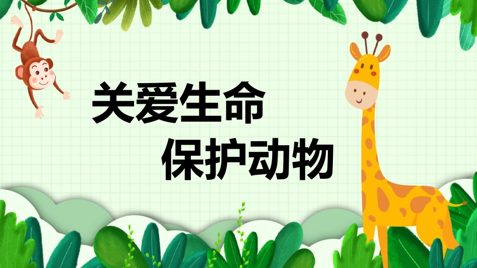 保护野生动物26.pptx_第1页
