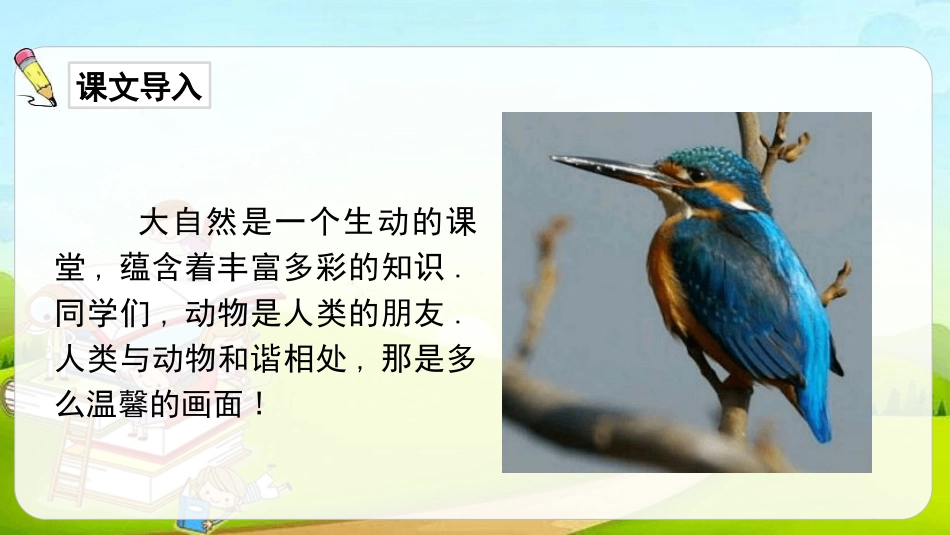 部编版三年级上册语文《搭船的鸟》PPT课件8.pptx_第3页
