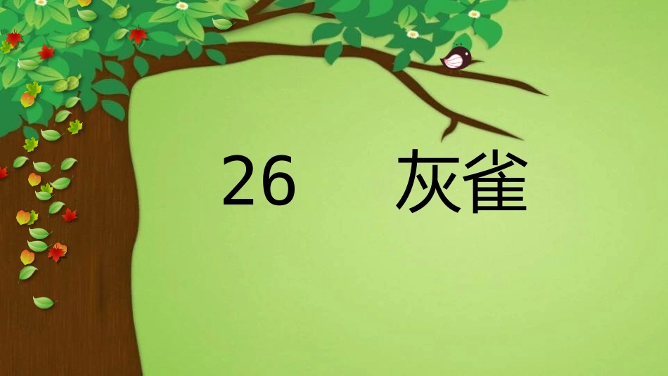 部编版三年级上册语文《灰雀》PPT课件5.pptx_第1页