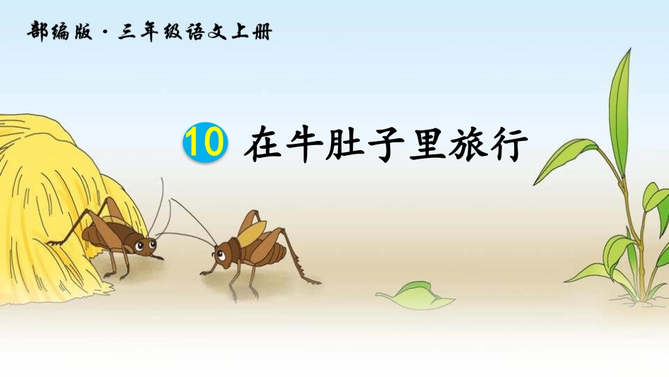 部编版三年级上册语文《在牛肚子里旅行》PPT课件8.pptx_第1页