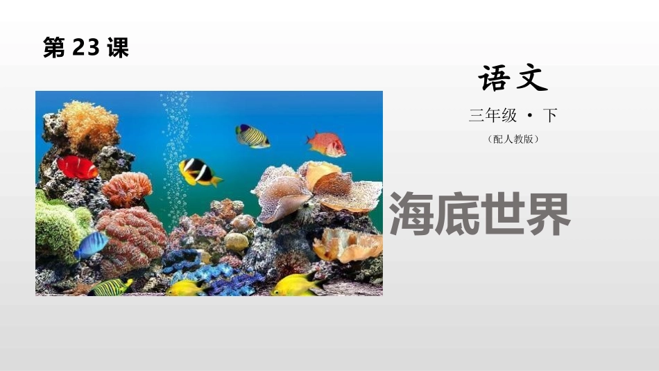 部编版三年级下册语文《海底世界》PPT课件2.pptx_第1页