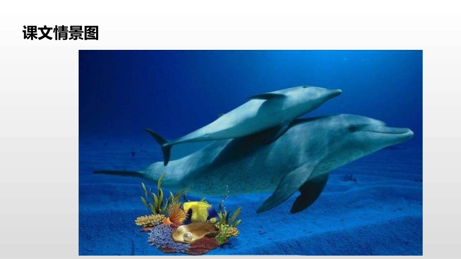 部编版三年级下册语文《海底世界》PPT课件2.pptx_第3页