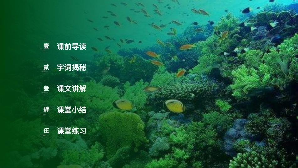 部编版三年级下册语文《海底世界》PPT课件5.pptx_第2页