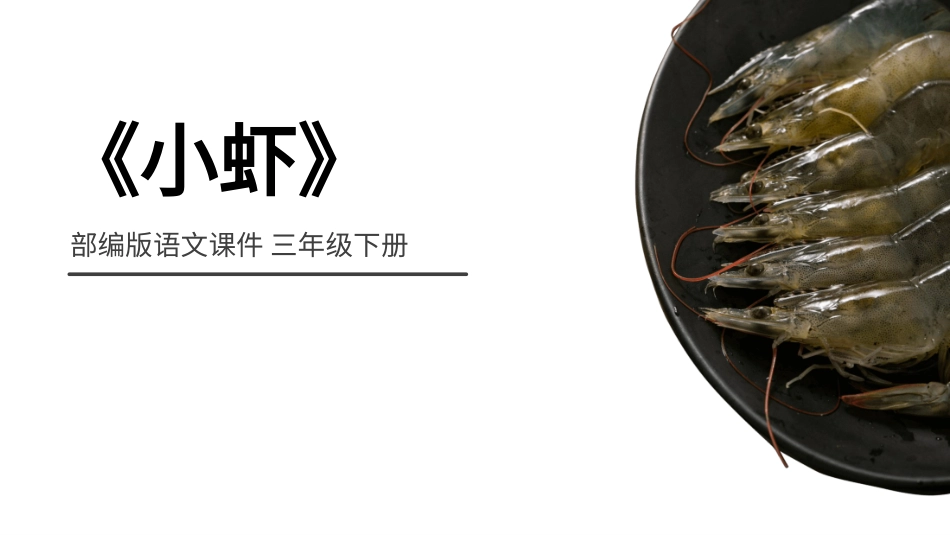 部编版三年级下册语文《小虾》PPT课件4.pptx_第1页