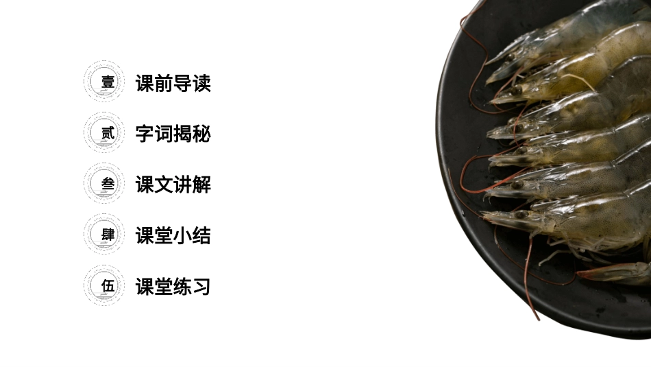 部编版三年级下册语文《小虾》PPT课件4.pptx_第2页