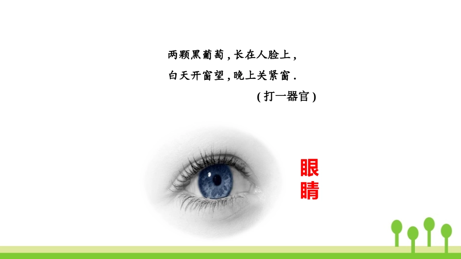部编版四年级上册语文《爱护眼睛保护视力》PPT课件1.pptx_第2页