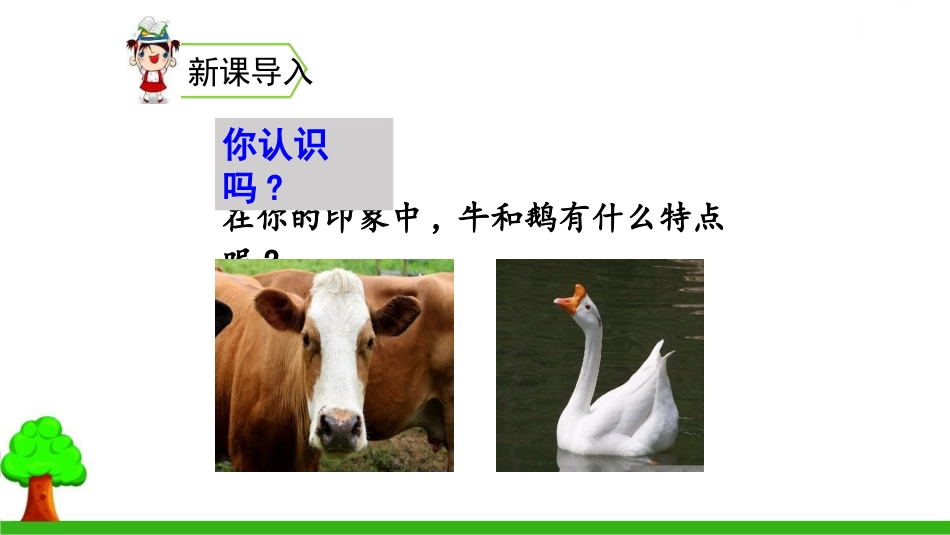 部编版四年级上册语文《牛和鹅》PPT课件5.pptx_第2页