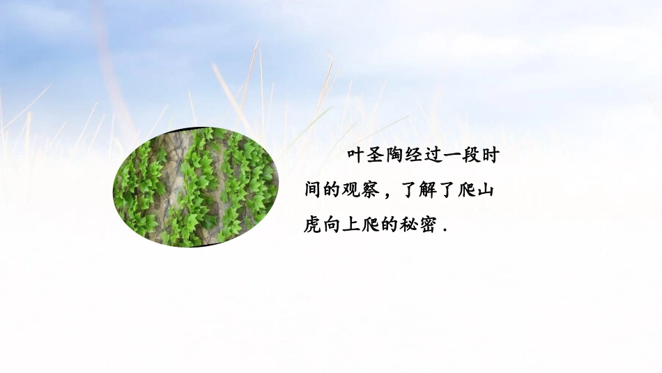 部编版四年级上册语文《写观察日记》PPT课件1.pptx_第3页