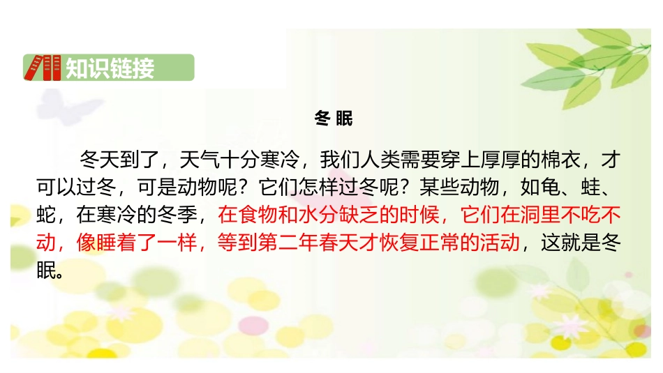 部编版一年级上册语文《雪地里的小画家》课件4.pptx_第3页