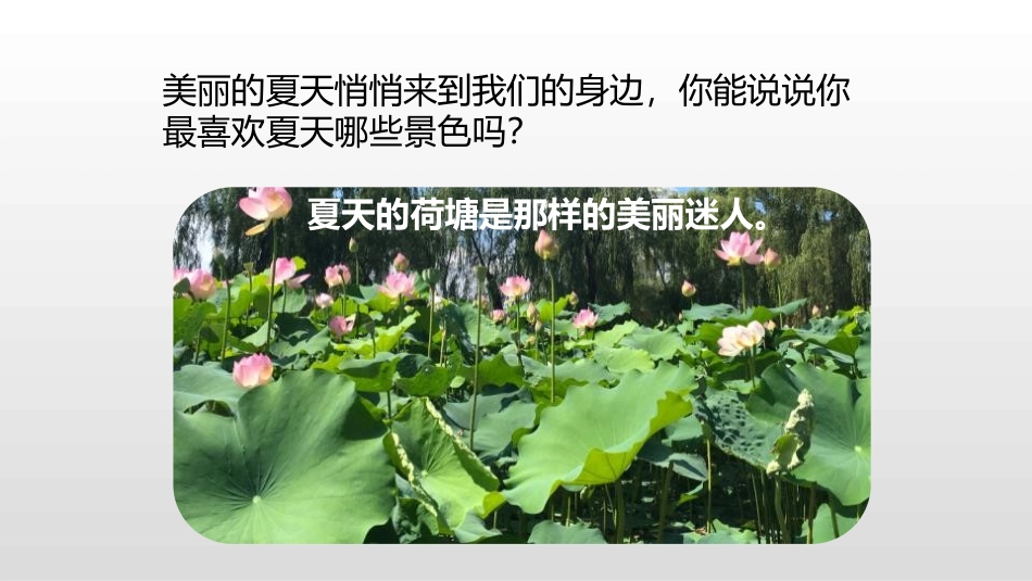 部编版一年级下册语文《池上》课件3.pptx_第3页