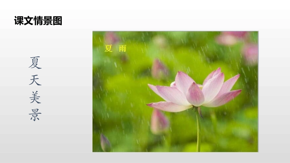部编版一年级下册语文《春夏秋冬》课件2.pptx_第3页