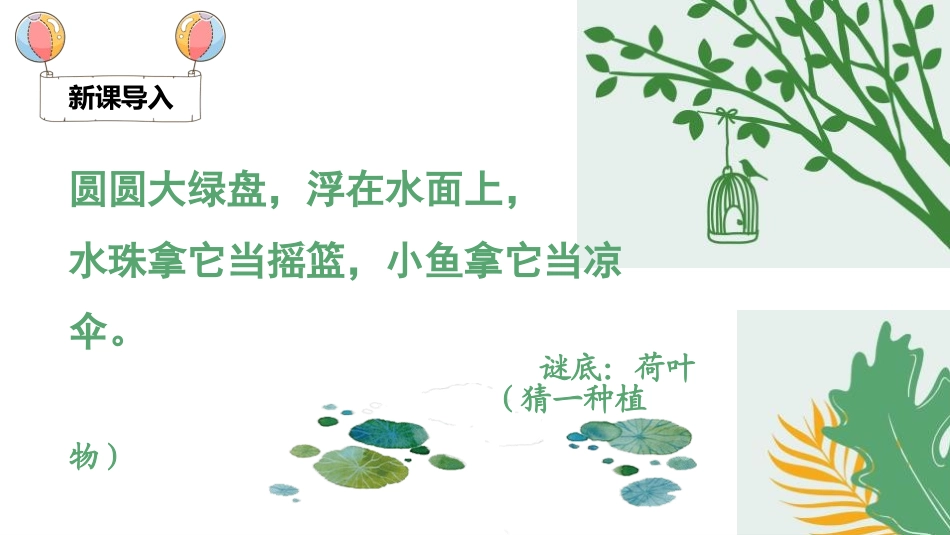 部编版一年级下册语文《荷叶圆圆》课件2.pptx_第2页
