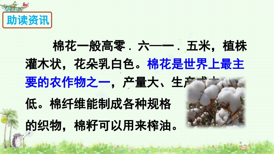 部编版一年级下册语文《棉花姑娘PP学课件8.pptx_第3页