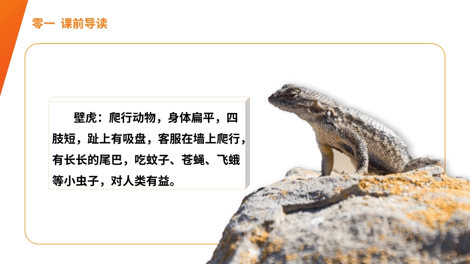 部编版一年级下册语文《小壁虎借尾巴》课件2.pptx_第3页
