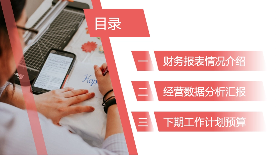 财务工作汇报数据分析21.pptx_第2页