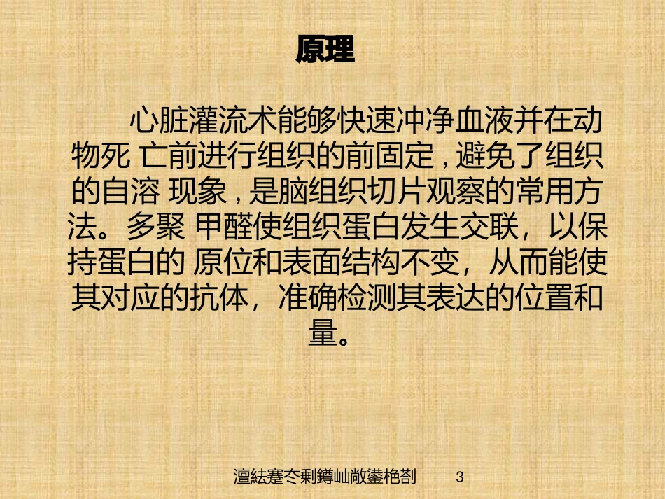 澶紶蹇冭剰鐏屾敞鍙栬剳培训课件.pptx_第3页