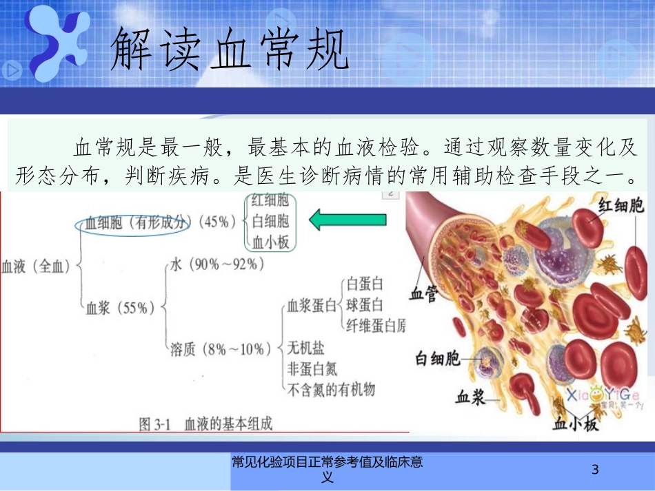 常见化验项目正常参考值及临床意义培训课件.pptx_第3页