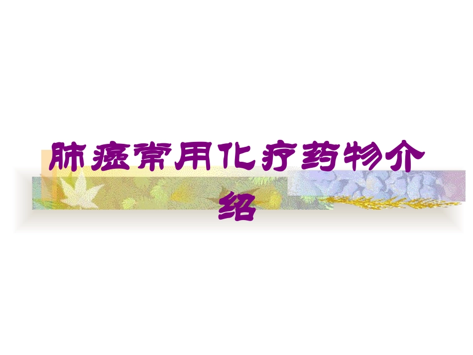 肺癌常用化疗药物介绍培训课件.pptx_第1页