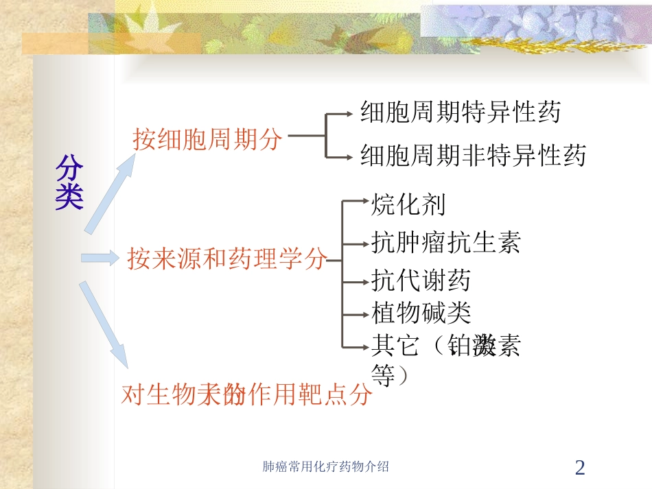 肺癌常用化疗药物介绍培训课件.pptx_第2页