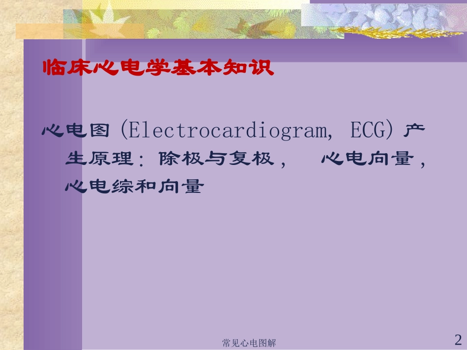 常见心电图解培训课件.pptx_第2页