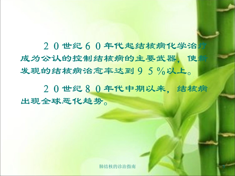肺结核的诊治指南培训课件.pptx_第3页